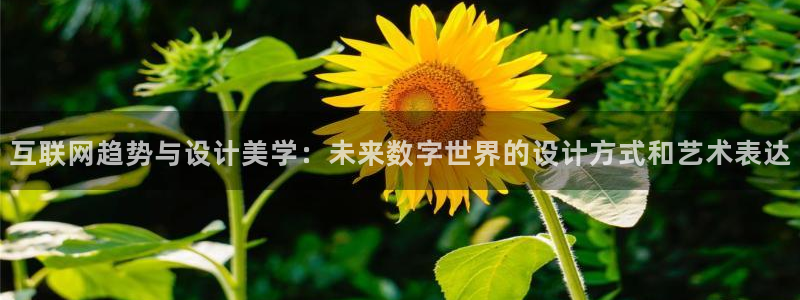 辉达娱乐体育竞猜