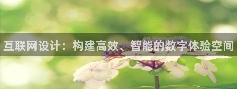 辉达平台注册：互联网设计：构建