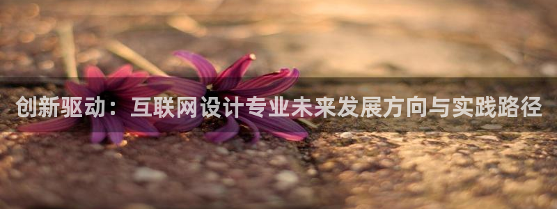 辉达娱乐属于什么档次