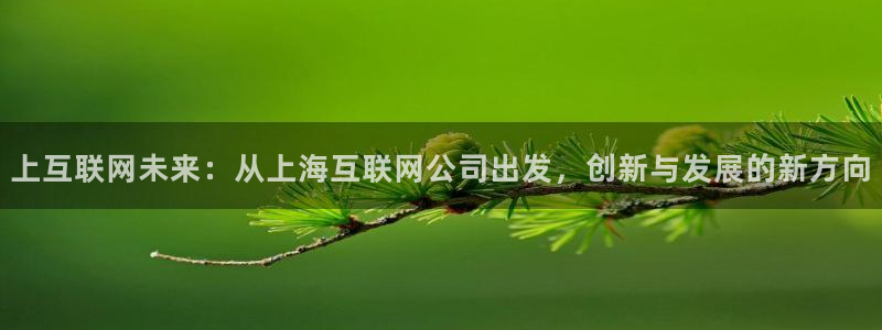 龙腾辉达电子娱乐