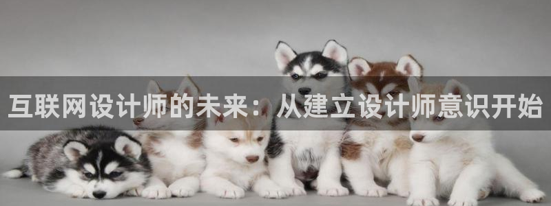 专业辉达娱乐官方网址