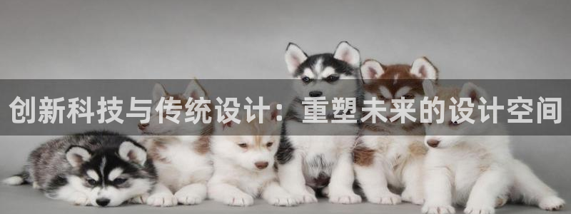 辉达平台注册入口：创新科技与传