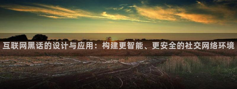 辉达娱乐电子游艺：互联网黑话的