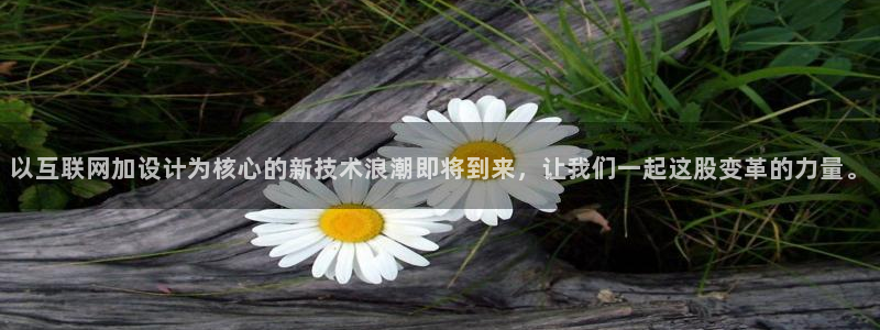 辉达娱乐五75505