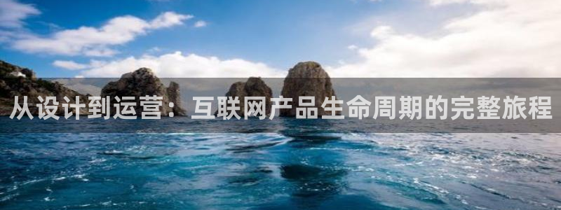 辉达娱乐公司