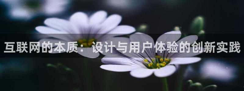 辉达平台注册流程