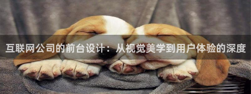 辉达平台注册流程