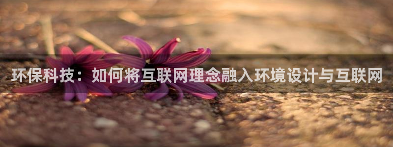 辉达平台注册官方网站入口