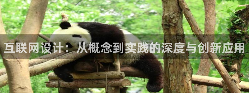 专业辉达娱乐平台