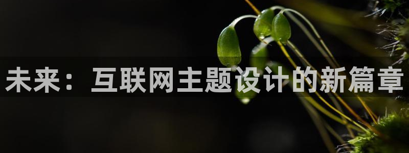 辉达娱乐时时彩平台