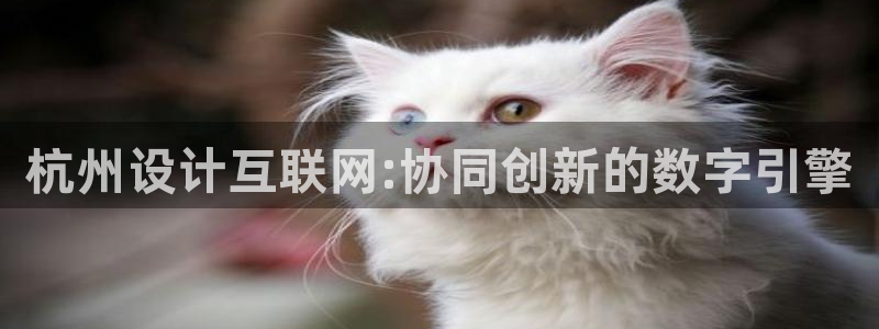 专业辉达娱乐官方网址