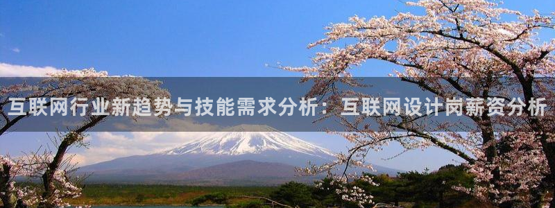 龙腾辉达电子娱乐