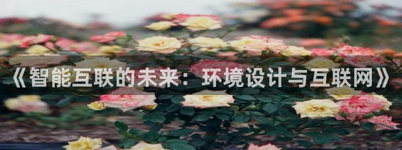 代理辉达娱乐平台