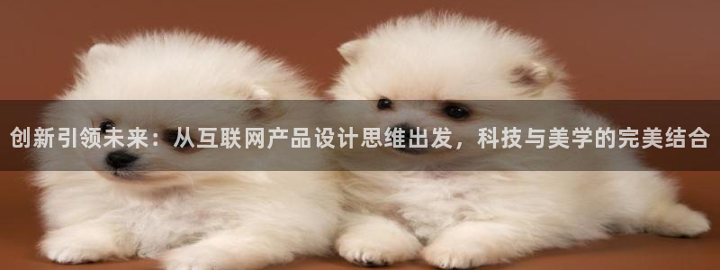 专业辉达娱乐平台：创新引领未来