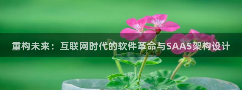 辉达娱乐己75505