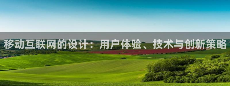 辉达娱乐可靠：移动互联网的设计