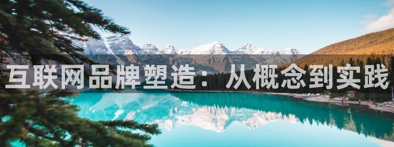 辉达娱乐可靠：互联网品牌塑造：