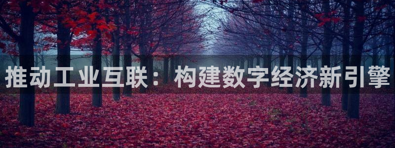 辉达平台官网电话：推动工业互联
