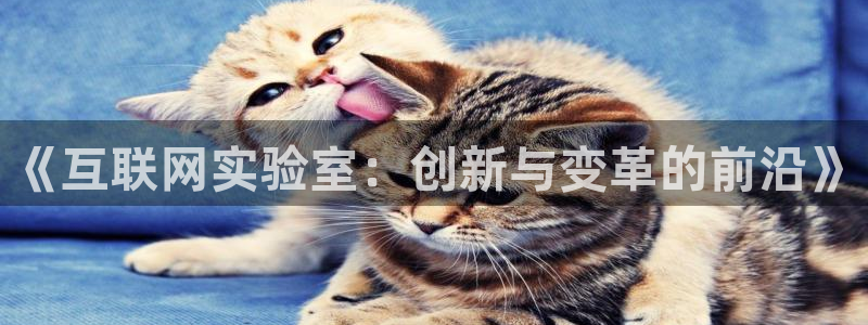 辉达娱乐网址：《互联网实验室：