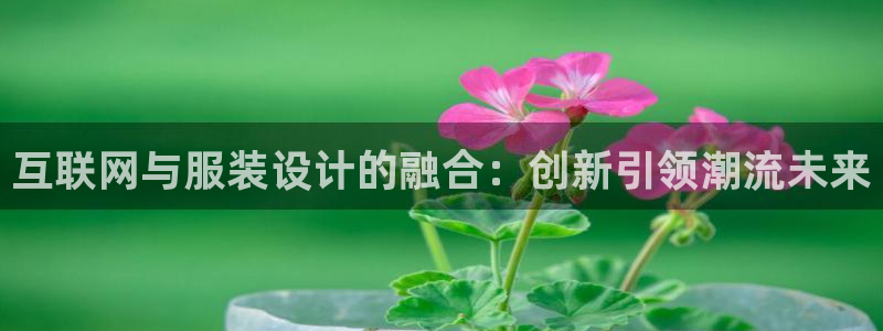 辉达平台注册入口