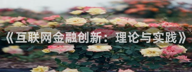 辉达娱乐福彩：《互联网金融创新