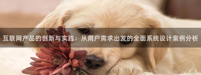 辉达集团官方网站：互联网产品的