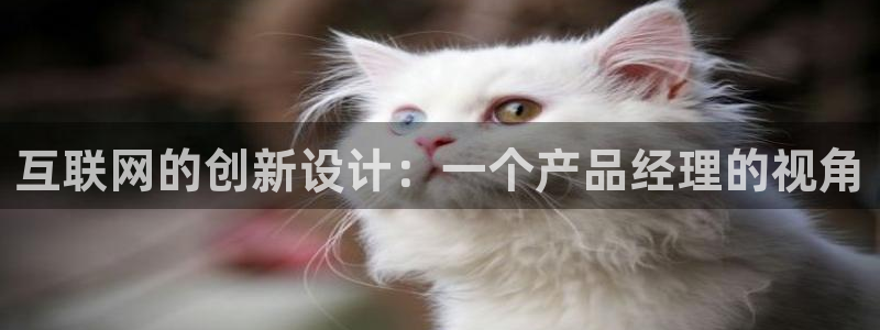 辉达娱乐彳75775