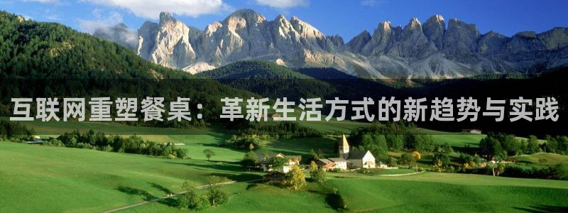辉达娱乐丶39444：互联网重