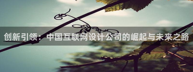 辉达娱乐体育竞猜