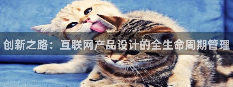 辉达平台注册资金多少