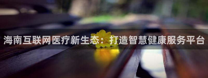 辉达平台注册入口：海南互联网医