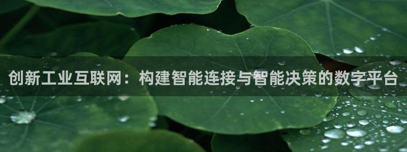 代理辉达娱乐官方网址：创新工业