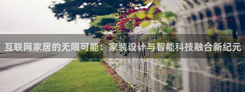 辉达娱乐丿39444：互联网家