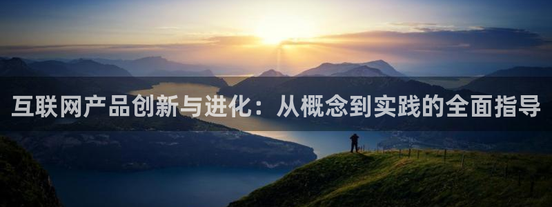 辉达娱乐123123：互联网产